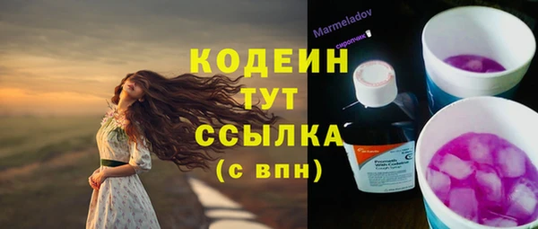 таблы Пересвет