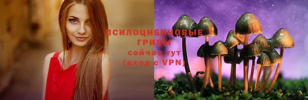 индика Переславль-Залесский