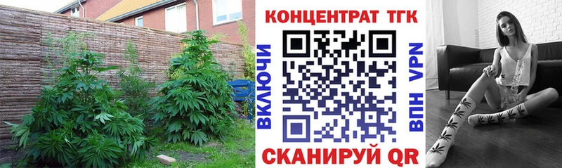 blacksprut рабочий сайт  купить  цена  Саров  Дистиллят ТГК гашишное масло 