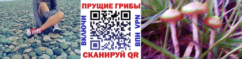 Галлюциногенные грибы MAGIC MUSHROOMS  Саров 